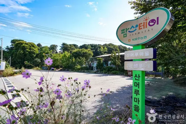 파주 산머루마을 사진