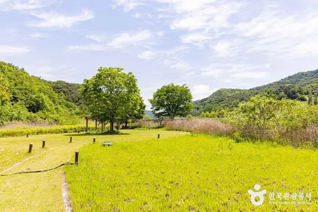 옥순봉생태공원 사진