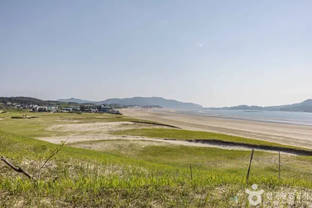 신두사구 쉼터공원 (신두사구 생태공원) 사진