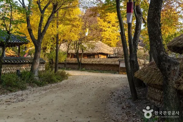 한국민속촌 사진