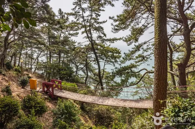 암남공원 사진
