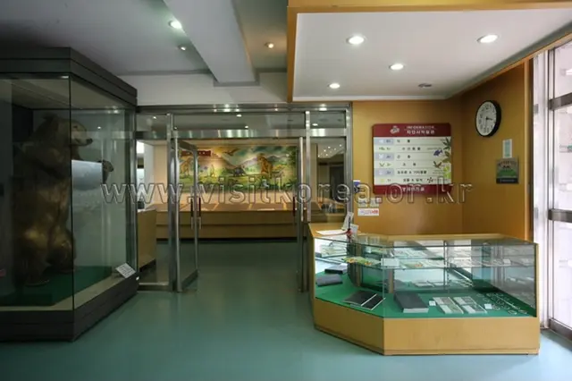 경희대학교 자연사박물관 사진