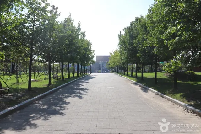 둔산대공원 사진