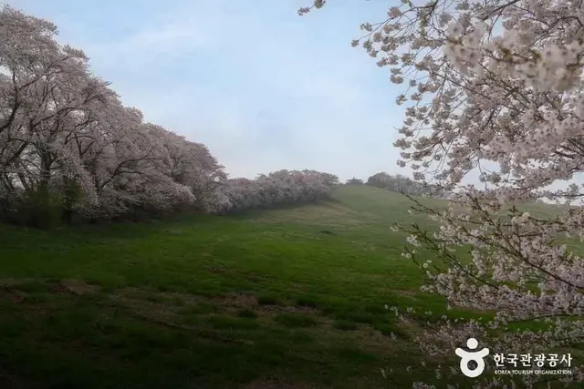 서산한우목장 웰빙산책로 사진