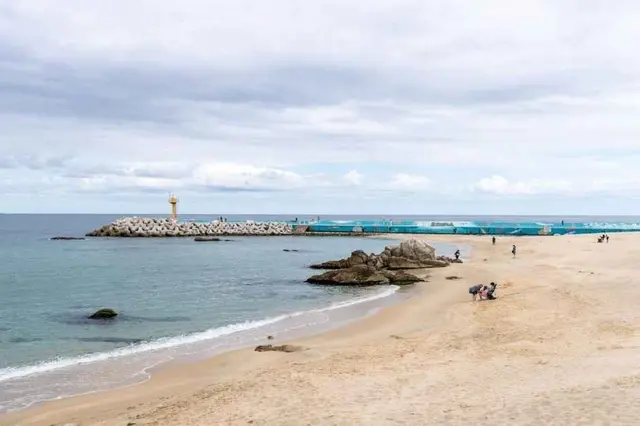 영진해변 사진