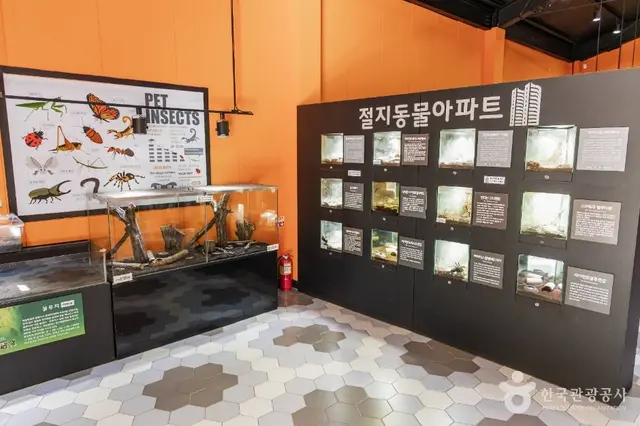 용인농촌테마파크 사진