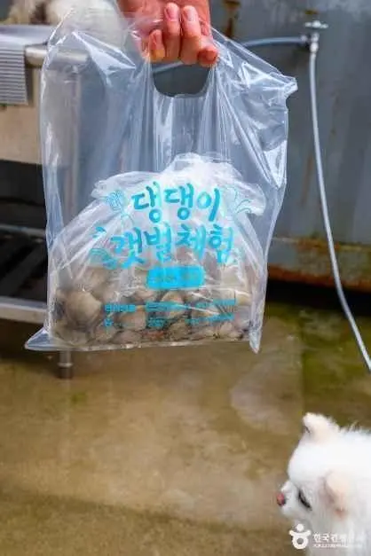 병술만어촌체험마을 사진