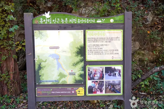 국립 복주산자연휴양림 사진