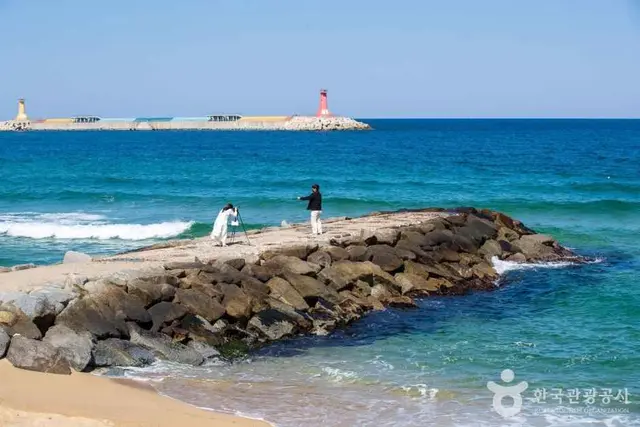 영진해변 사진