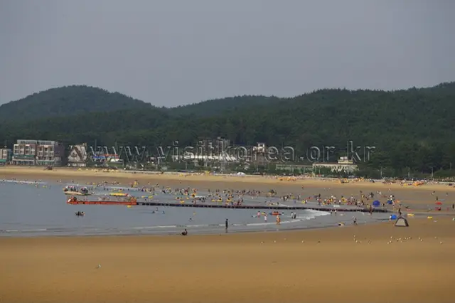 만리포해수욕장 사진
