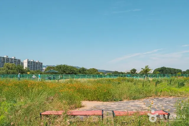 팔현생태공원 사진
