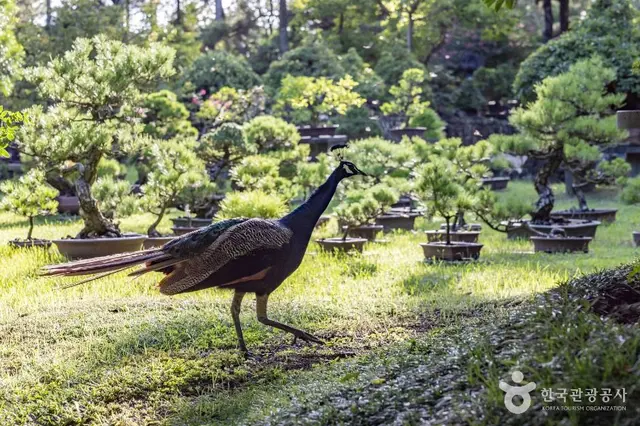 한림공원 사진