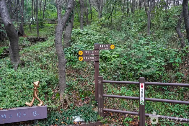 계양산 산림욕장 사진