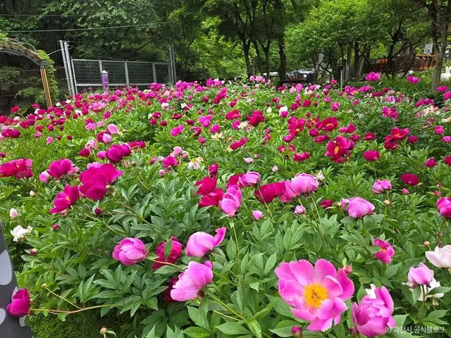 과천야생화자연학습장 사진