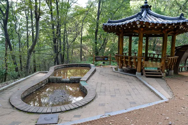 계족산 황톳길 사진