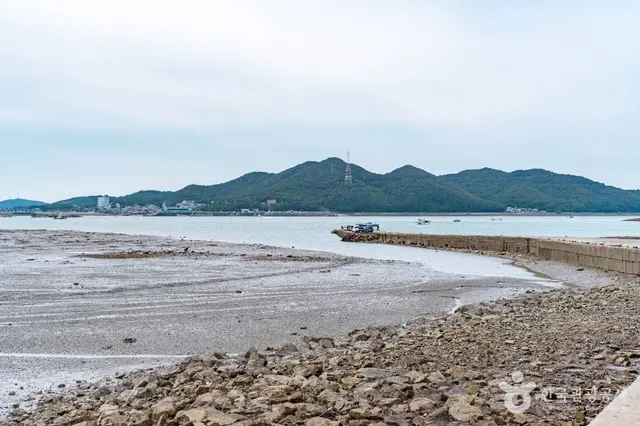 도비도항 사진