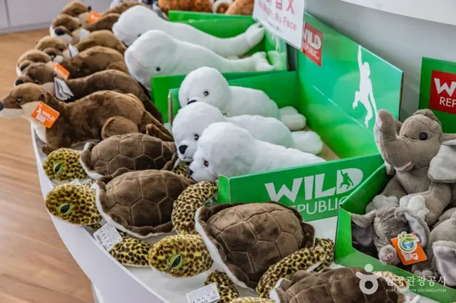 국립해양박물관 사진