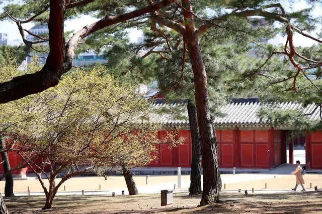 창경궁 사진