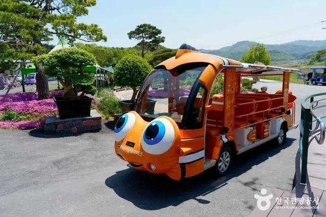 홍성솔바람테마파크 사진