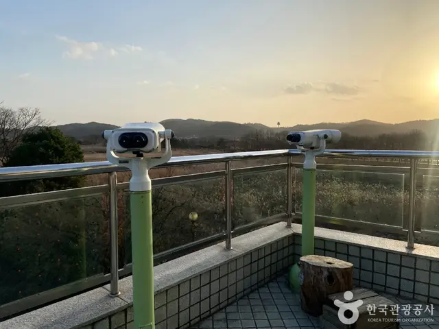 안산갈대습지공원 사진
