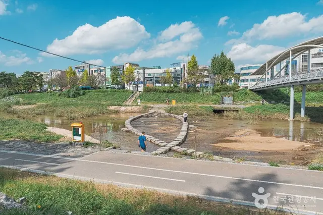 갑천 사진