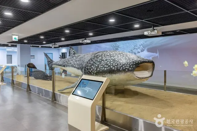 부산해양자연사박물관 사진
