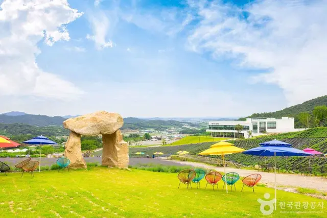 정읍 허브원 사진