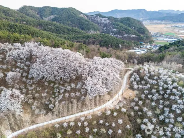 대가야수목원 사진