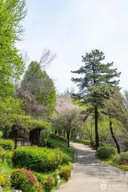 남산야외식물원 사진