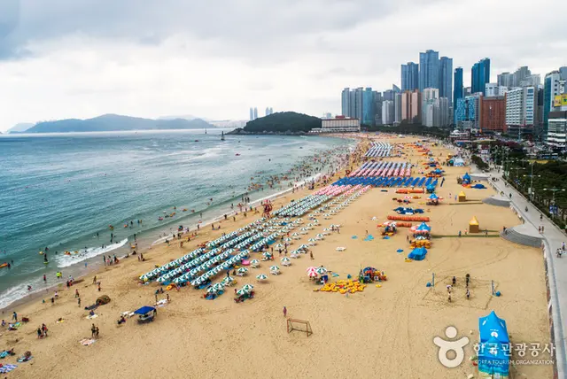 해운대해수욕장 사진