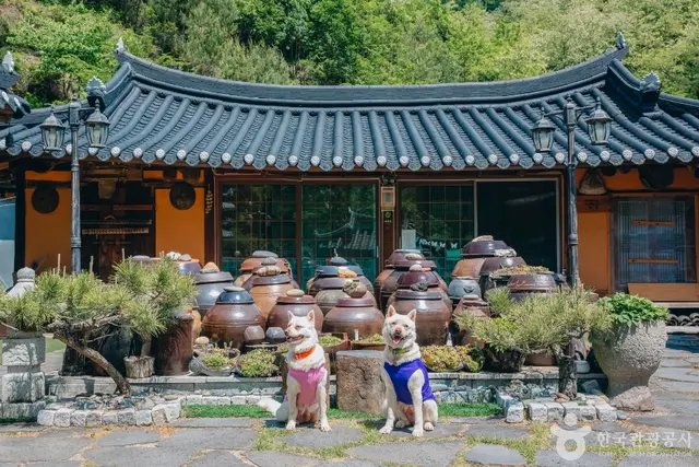 태백산 한옥펜션 사진