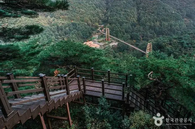 좌구산 자연휴양림 사진