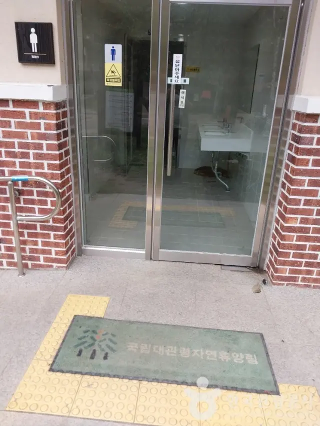 국립대관령자연휴양림 사진