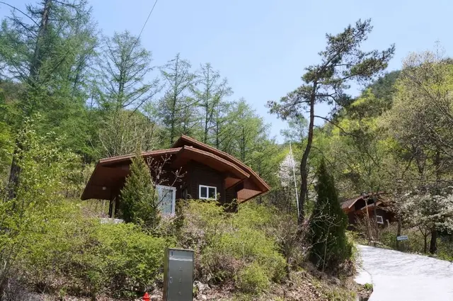 국립속리산말티재자연휴양림 사진