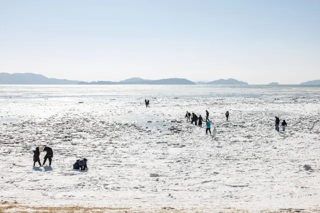 동막해변 사진
