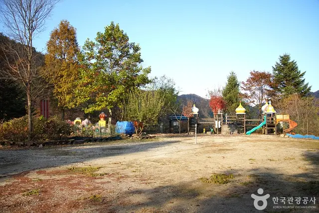 알프스벨리 사계절썰매장 사진
