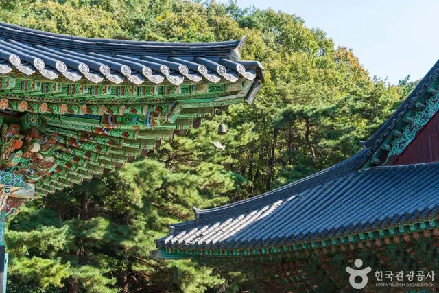 각원사 사진