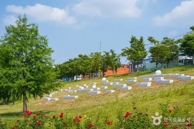 대구 세천늪테마정원 사진