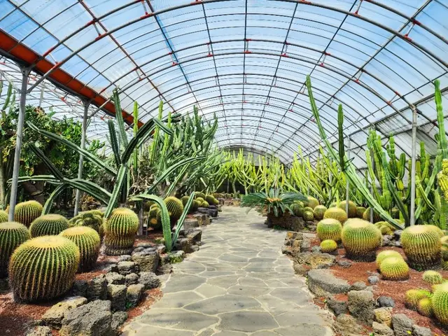 일출랜드 사진
