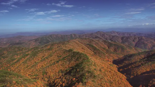 칠갑산도립공원 사진