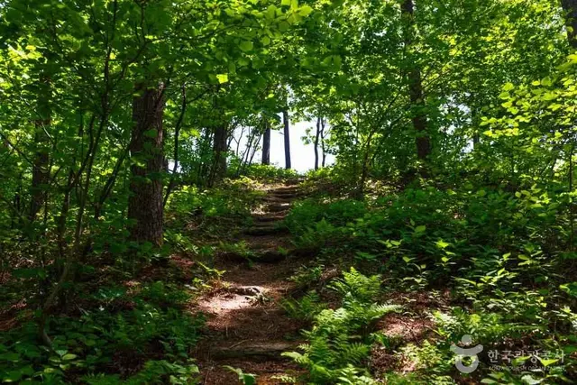 국립횡성숲체원 사진
