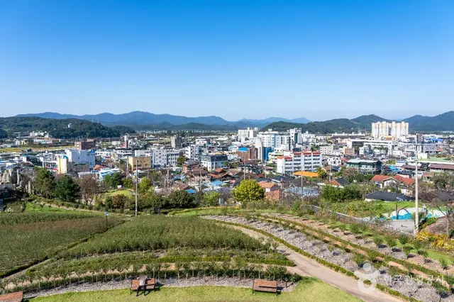 장성무궁화공원 사진