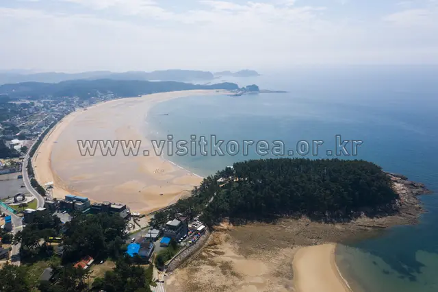 만리포해수욕장 사진