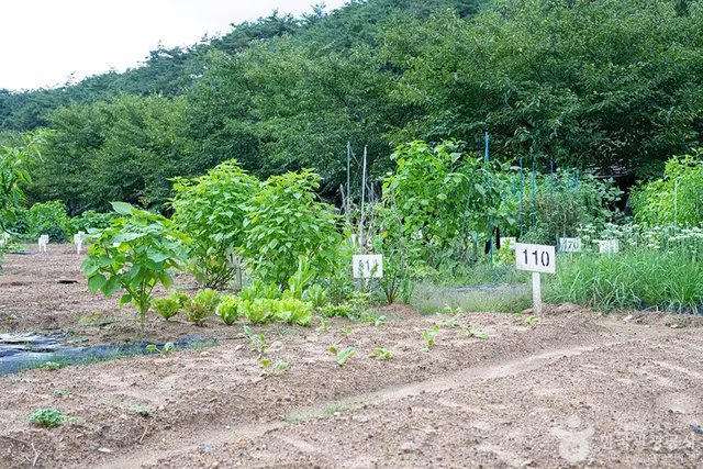 원두막주말농장 사진