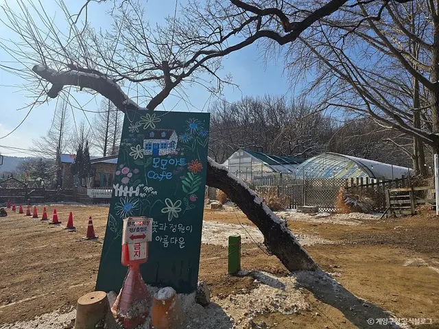 모모아트 사진
