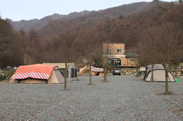 횡성산울림오토캠핑장 사진