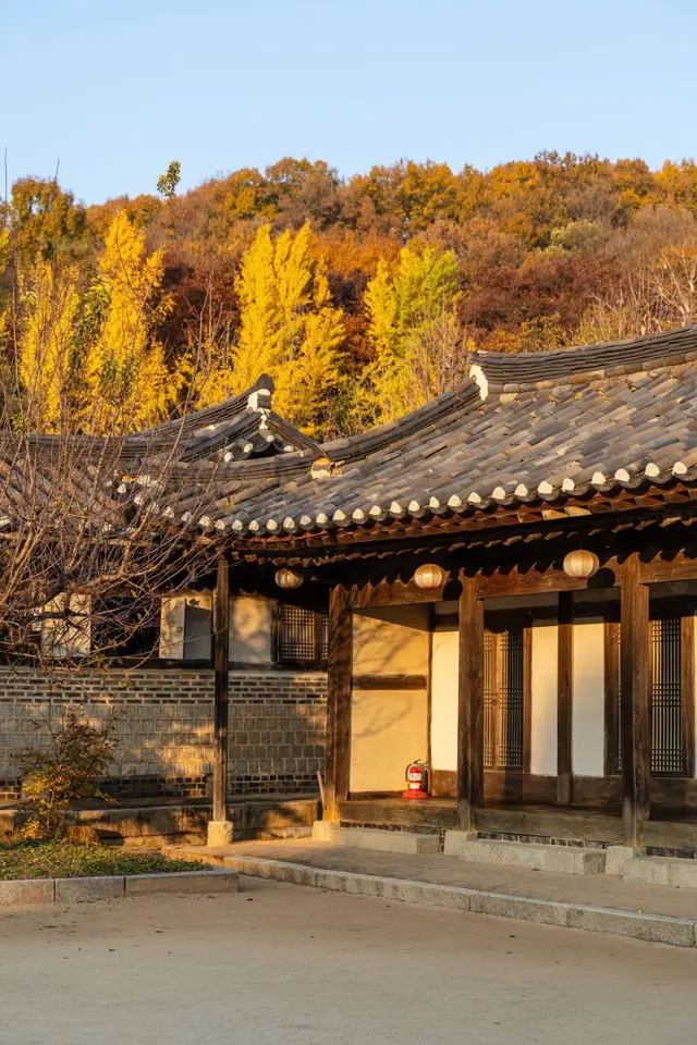 한국민속촌 사진