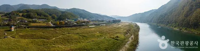 단양 고운골 남한강 갈대숲 사진