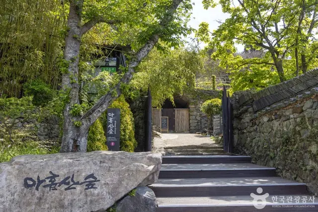 아홉산숲 사진