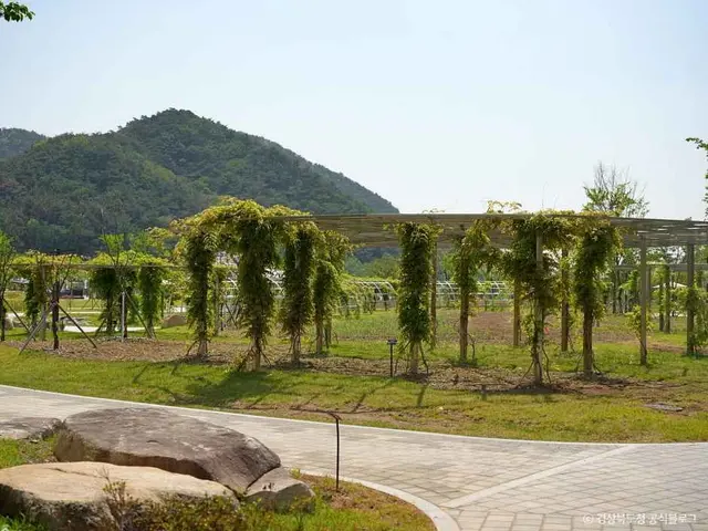 라원 사진